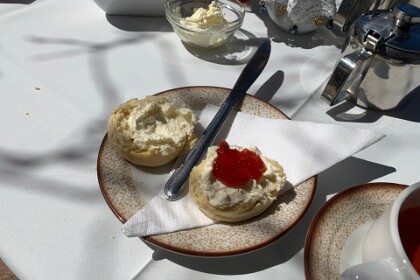 18th September, 2025   Close up. Even served on proper crockery with metal knives. Everything is real.