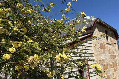 18th September, 2025   This is the Schoolmaster's Cottage. The church has a very detailed website which describes the early pioneers and quite a bit of information about the property itself.      The Ebenezer Church web site is available here.