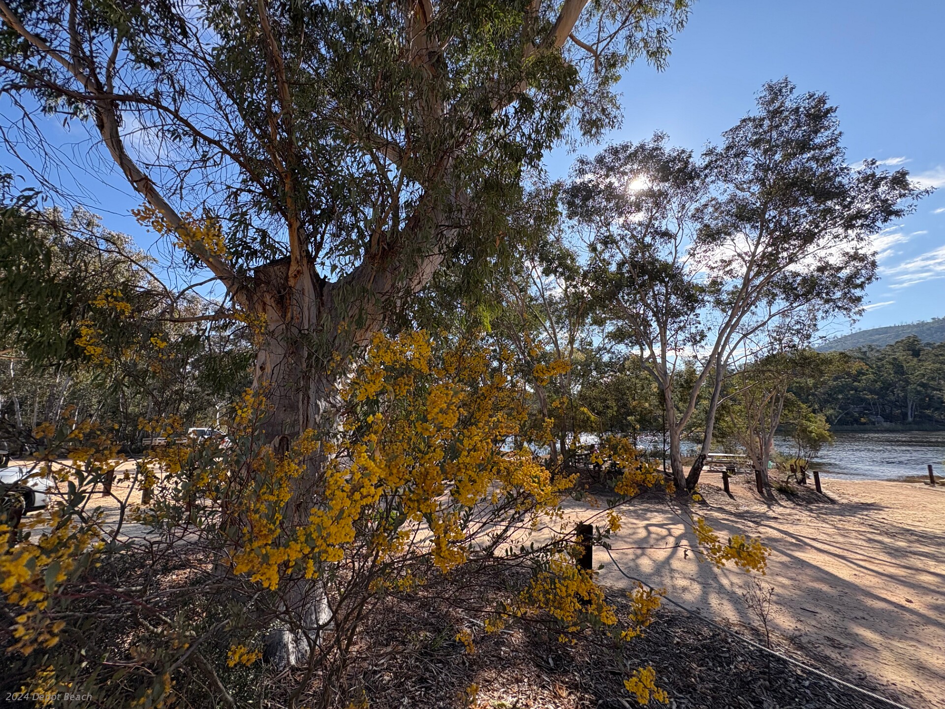 IMG 4687