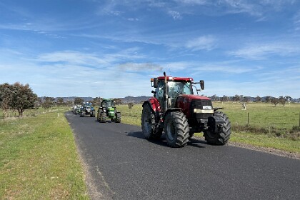 Tractors on parade 27/09/25   We're on our way to the Dunns Swamp camping area and pass a wheeled herd of tractors. Jenni pulls off the road and we wave to them as they go by. They wave back of course. (I  looked for a collective noun but there were none for a 'wheeled herd of tractors')