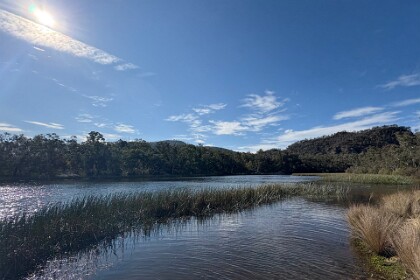 Dunn's Swamp Ganguddy 27/09/25   . . . And in this direction (east) it actually disappears as well. The river is what you would call fresh water but you wouldn't want to drink it. Today, it's very peaceful; Jacqui said Dunn's Swamp is a very popular spot during summer.