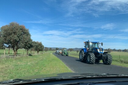 Tractors on the way to Dunn's Swamp 27/09/25   Big muscly beasts. Very impressive. This was quite a buzz for us city kids. We didn't find out the reason for the parade (at least 20 tractors, including some pretty old ones, as well as several support vehicles).