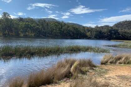 Dunn's Swamp Ganguddy 27/09/25   The water is fresh (ie non-salt), topped up every time it rains.