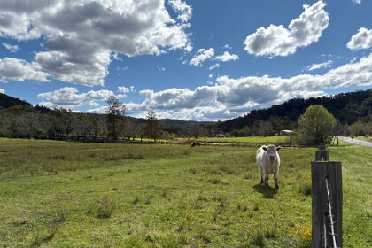 Exploring Wollombi, 12th September 2025 2-300 m out of town the rural life begins.