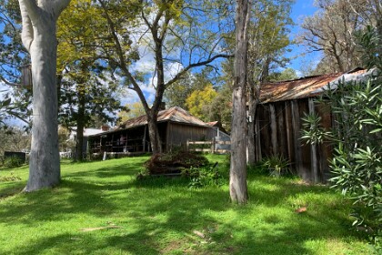 Exploring Wollombi, 12th September 2025 A  store, visible through the trees, sells "historical" memorabilia.  Just hidden behind is a delightful restaurant  that we used to visit often during our motorcycle days.