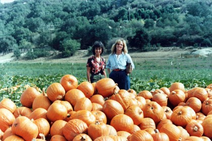 Approaching Halloween October 31, 1986  &nbsp;  Jenni and Caroline examine pumpkins at Bates Nut Farm NE of Escondido, CA.