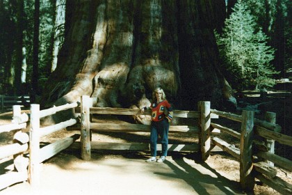 Jenni at the base of the tree.