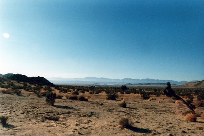 We drive through the Mojave Desert to get there and pass Joshua Trees on the way.