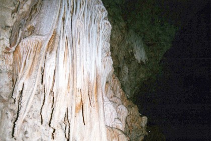 An estimated 250 million years ago, the area surrounding Carlsbad Caverns National Park served as the coastline for an inland sea. Present in the sea was a plethora of marine life, whose remains formed a reef. Unlike modern reef growths, the Permian reef contained bryozoans, sponges, and other microorganisms.