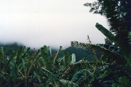 Rain pours down over the mountains.