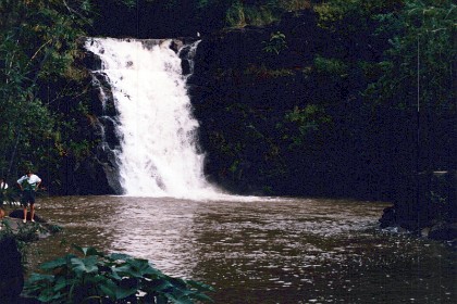 These are the Wiamea falls.