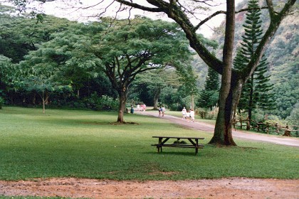 There is a beautiful park near the Falls.