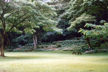 Park is bordered by impatiens.