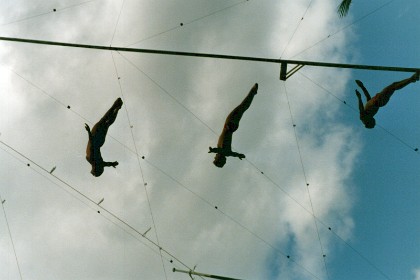 Divers perform at sea life Park.  They all hit the water at exactly the same time.