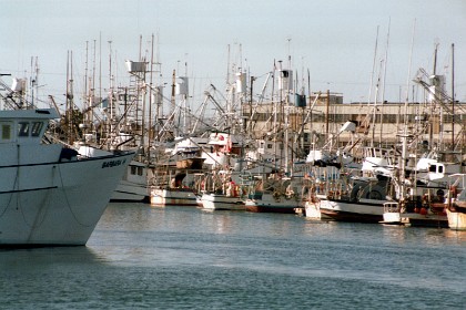 January, 1987 &nbsp;  We're back at Tierrasanta after returning from Hawaii December 30, last year. On a visit to rhe San Diego waterfront, we take a look at the fishing fleet in San Diego Harbour.