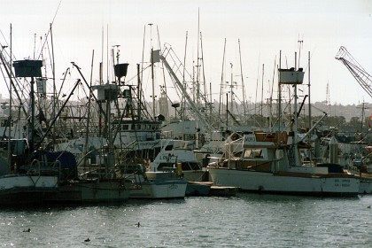 The first cannery opened in 1909 and, at one time, San Diego was known as “The Tuna Capital of the World” with two of the country's  three biggest tuna canneries being based along its Bay.