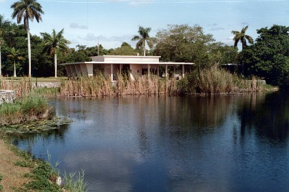 I drive to the Everglades National Park on the southern coast of Florida.  I actually get to see real live alligators.