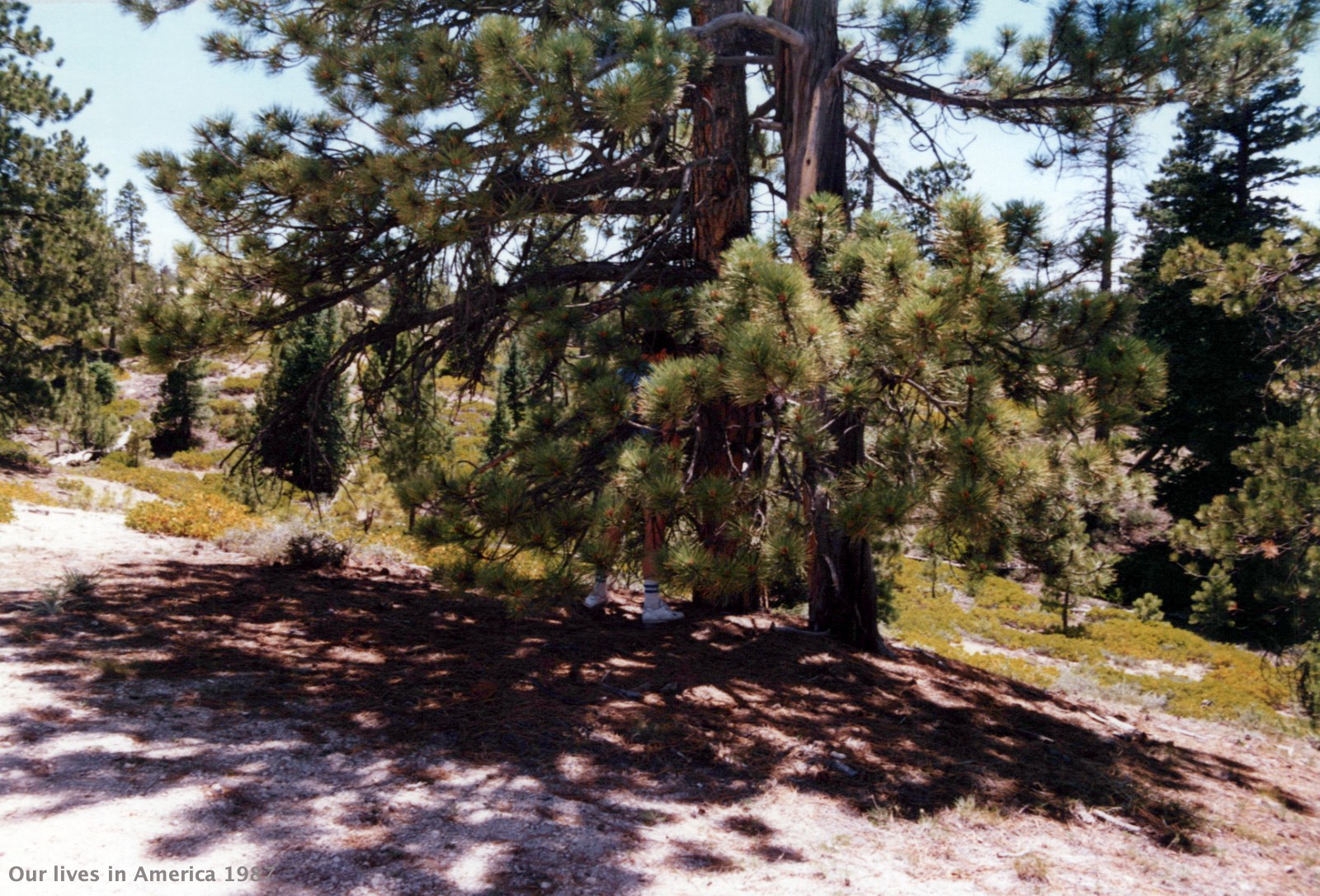 1987 July NationalsLincolnNebraska 0022 a