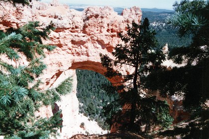 Natural Bridge - probably an arch as bridges are carved by streams or rivers.