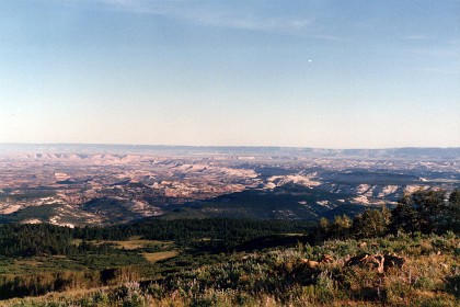 We're at 9000 ft in the Dixie National Forest