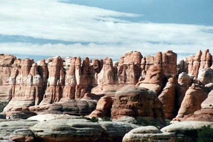 Closeup of the Needles