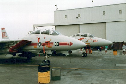 F14s. I think the paint scheme was done for the Top Gun movie.