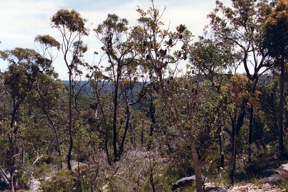 We walk a couple of hundred metres up the road and we can see right up the National Parks in the distance.