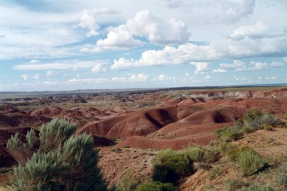 The same day   Wednesday 3 August, 1988  we continue driving to the Painted Desert in Arizona.