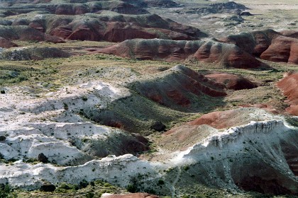 The desert is composed of stratified layers of siltstone, mudstone, and shale of the Triassic (200 -150 mya) Chinle Formation, which erode easily. These fine-grained rock layers contain abundant iron and manganese compounds, which provide the pigments for the various colors of the region.