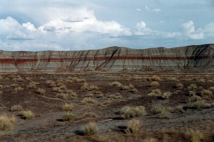 We continue driving to the South through the Painted Desert to the  Petrified Forest National Wilderness Area.