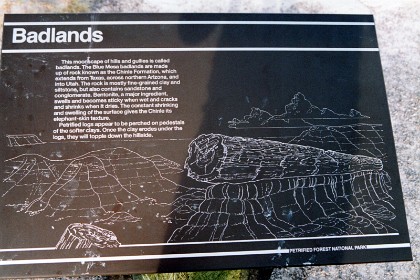 The Chinle Formation is an Upper Triassic continental geological formation of fluvial, lacustrine, and palustrine to eolian deposits spread across the U.S. states of Nevada, Utah, northern Arizona, western New Mexico, and western Colorado.  That is, it describes a local geological formation unique to this western part of the USA. Chinle is a small town in Arizona.