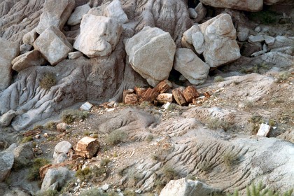 Petrified logs rest at the bottom of some cliffs.