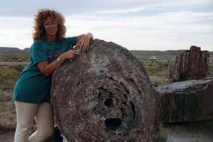 Petrified wood was formed 225 million years ago during the triassic period and is 4 times as hard as granite and very colorful, due to the effect of impurities such as iron, manganese, copper and lithium present in the wood during the fossilising process.