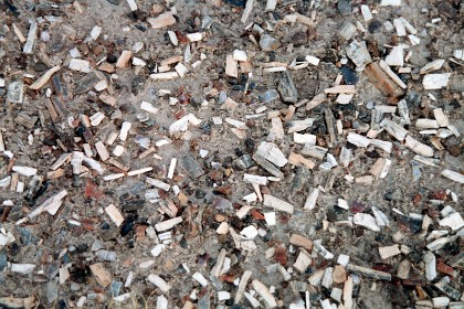 These are chips of petrified trees and it is illegal to pick up a single piece. The story is that trains would stop nearby on  early train journeys to California (late 1800s) while passengers would come and help themselves to lumps of petrified wood.  Perhaps these chips occurred as a result of these passengers' desecration.