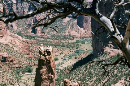 Canyon de Chelly is entirely owned by the Navajo Tribal Trust of the Navajo Nation. It is the only National Park Service unit that is owned and cooperatively managed in this manner. About 40 Navajo families live in the park.