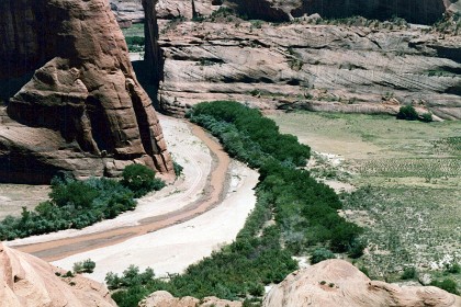 The monument covers 83,840 acres (131 sq mi; 339 km2) and encompasses the floors and rims of the three major canyons: de Chelly, del Muerto, and Monument. These canyons were cut by streams with headwaters in the Chuska Mountains just to the east of the monument. None of the land is federally owned.