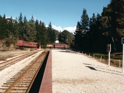 1989  &nbsp; We take Nellie and Jessie out for the day to the zig-zag railway