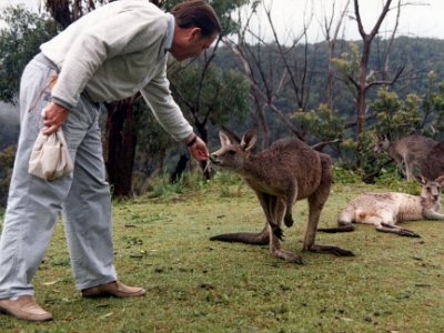 We take him to the Sanctuary on the way into Kuring-gai Chase National Park. I imagine this is the first time he has ever fed a kangaroo.