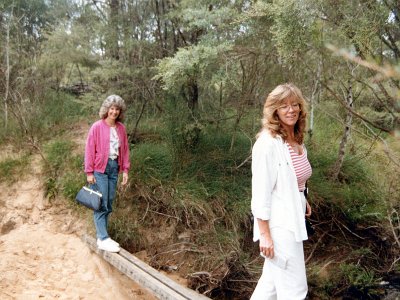 We cross over a stream on our way to the Wentworth Falls.