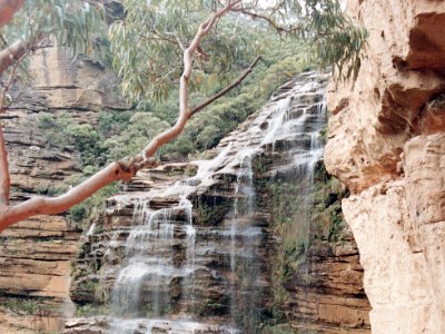 These are the Wentworth Falls.