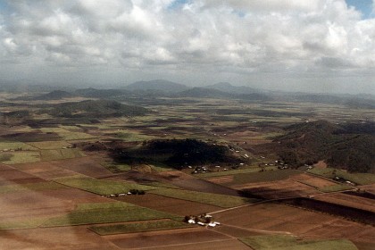 I approach Mackay, Queensland on the first leg of my journey and fly over a zillion cane fields.