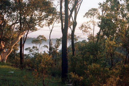 Fog in the valley (now a National Park) behind our house.