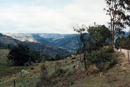 The countryside on the back roads to the caves is gorgeous.