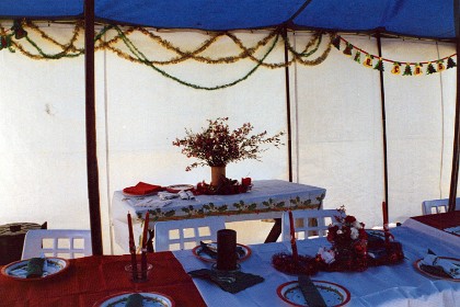 1993 &nbsp   We used to hold a Xmas gathering for the Sydney Flyers and families. QWe did this for a few years and finally thought to ourselves, "How stupid is this, are we? Our guests never put on a spread of their own but they are quite happy to come to our year after year."