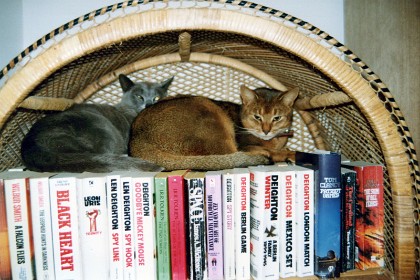 1993 &nbsp   I had this cane bookshelf in my computer room and it was a favourite perch for Shaka and Kali.