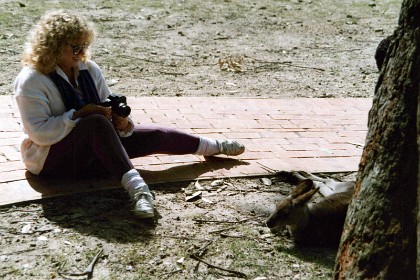 Jenni photographs a wild kangaroo. It's too easy to forget that these are wild animals and not domesticated pets.