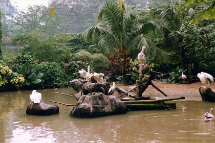 The aviary is part fo the parklands to the west of K.L.