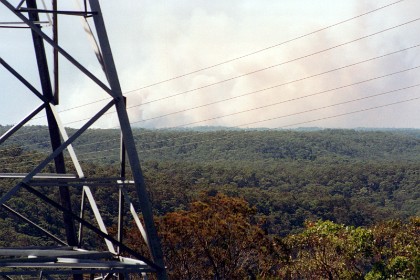 1994 Life in Mount Colah