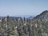 Monday 3 June 2002 -  Palm Springs Aerial Tramway