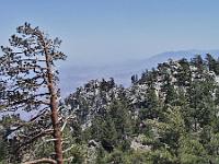 Monday 3 June 2002 -  Palm Springs Aerial Tramway